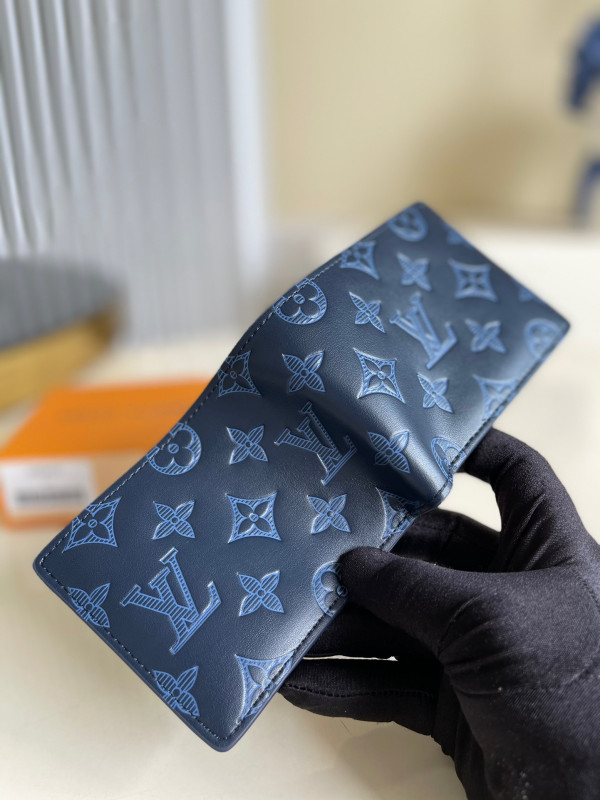 l0*is V*t0n multiple wallet